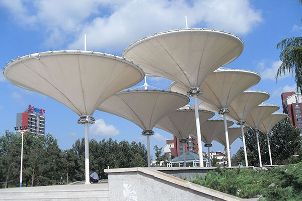 ETFE Membrane